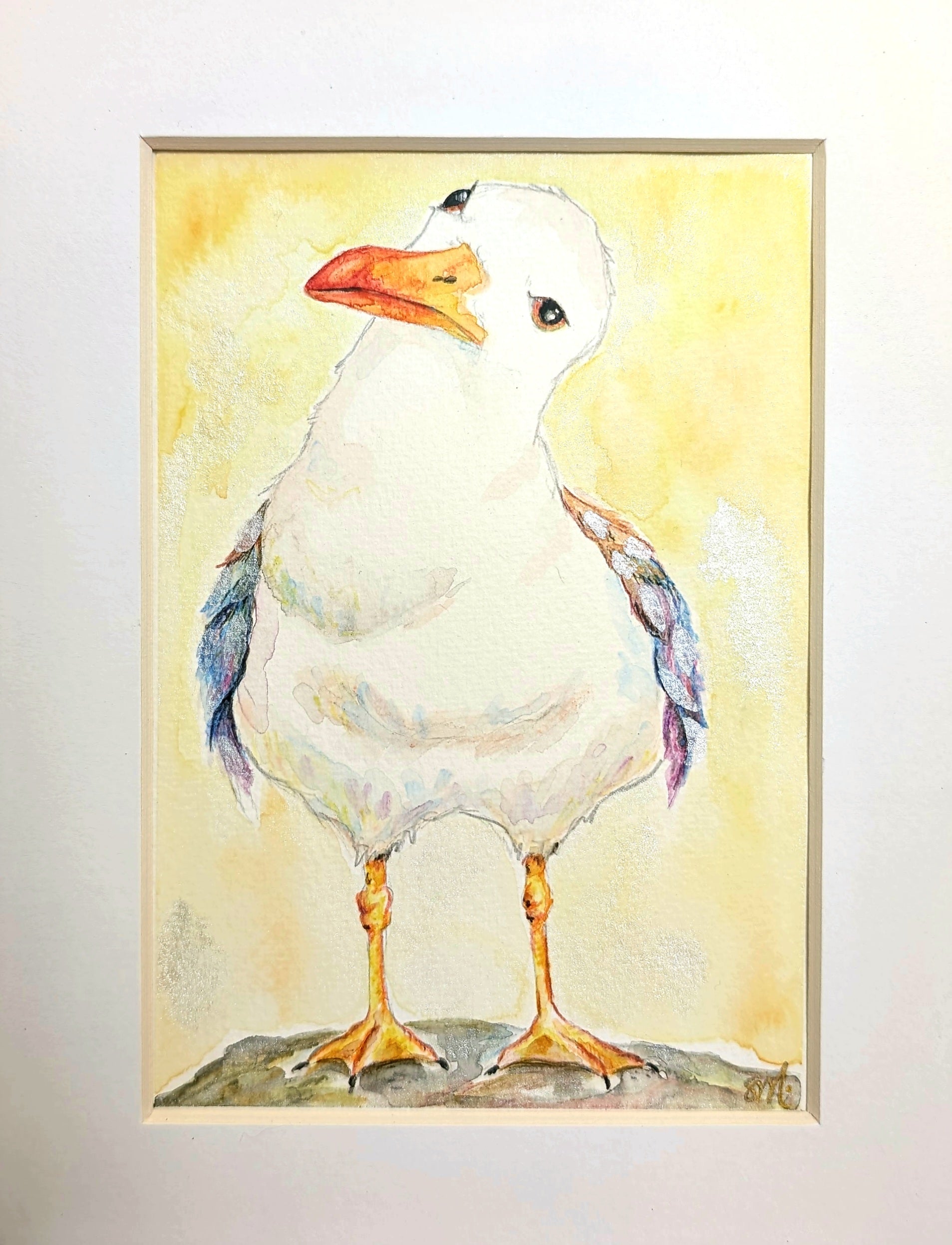 Fine Art Prints