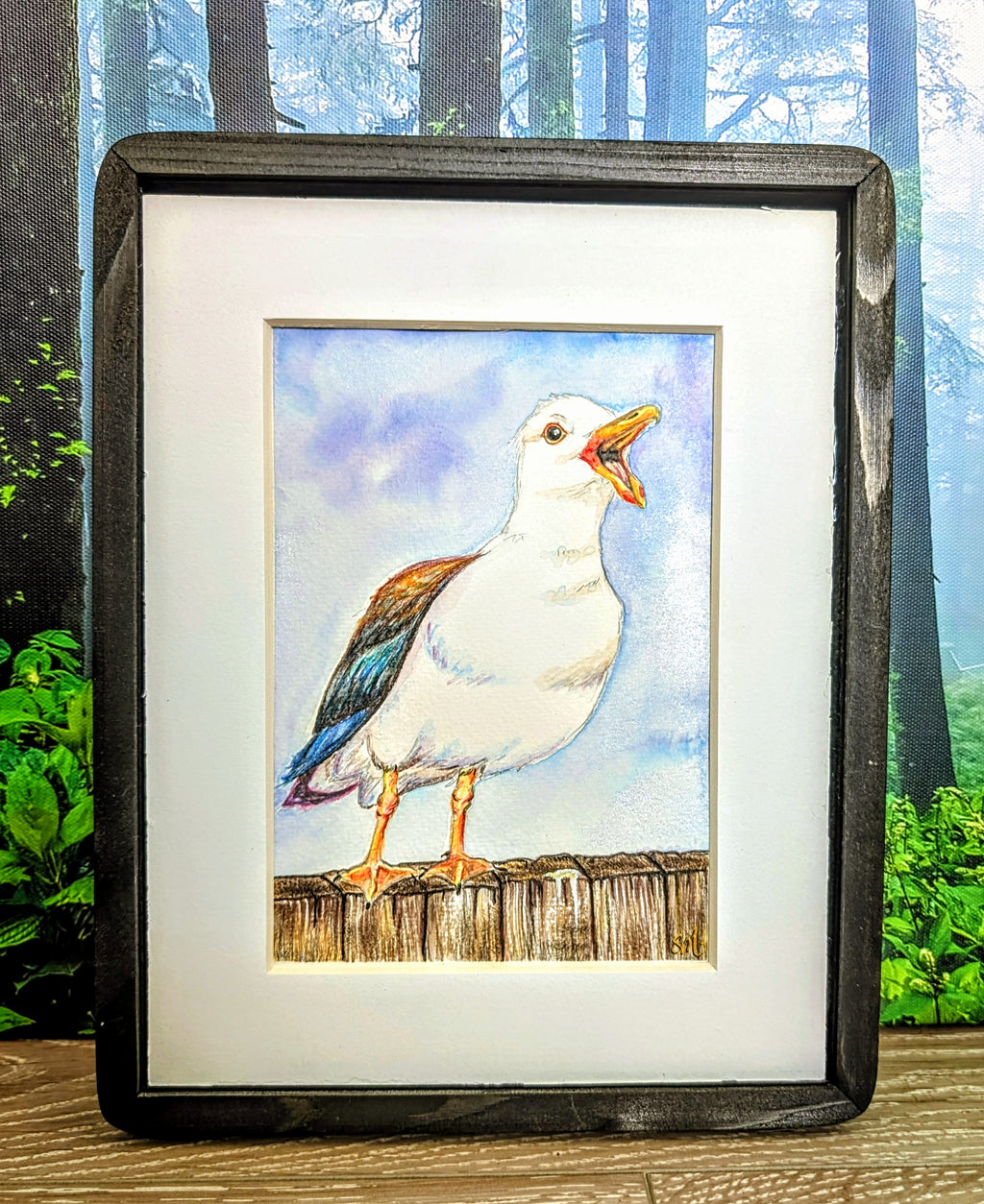 Rainbow Gull, The Loud One