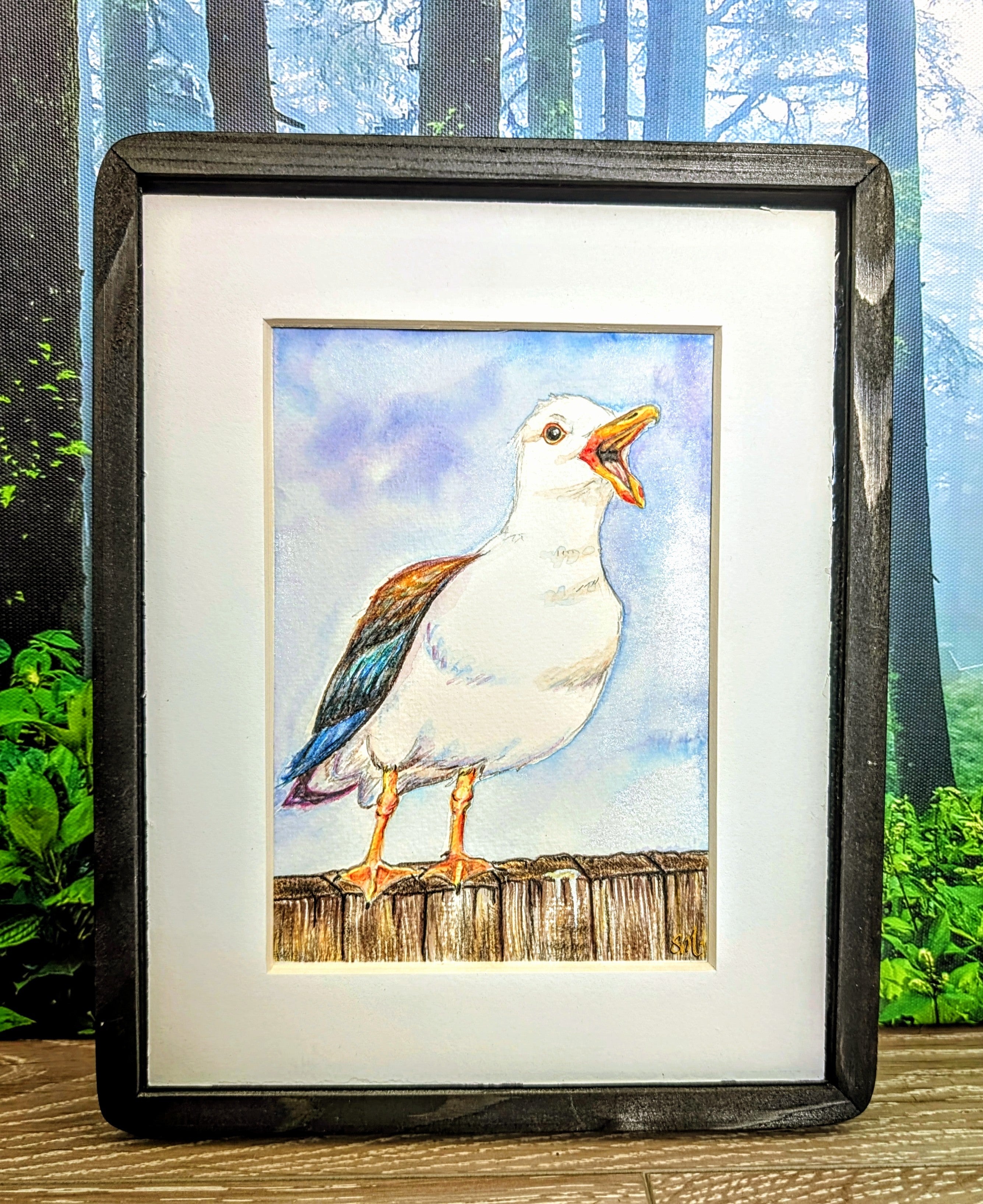 Rainbow Gull, The Loud One