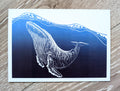 Humpback Whale, "Resonance"