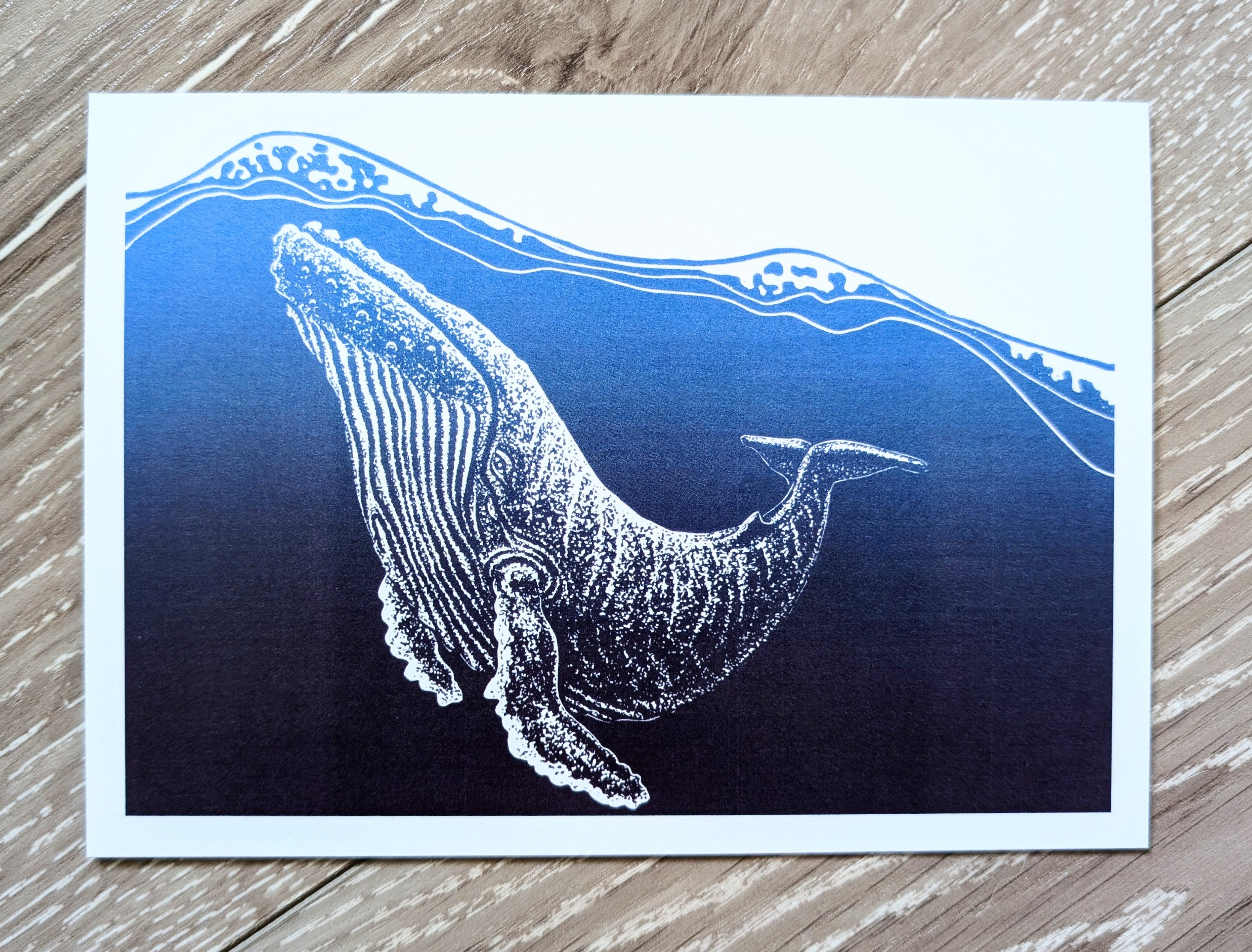 Humpback Whale, "Resonance"