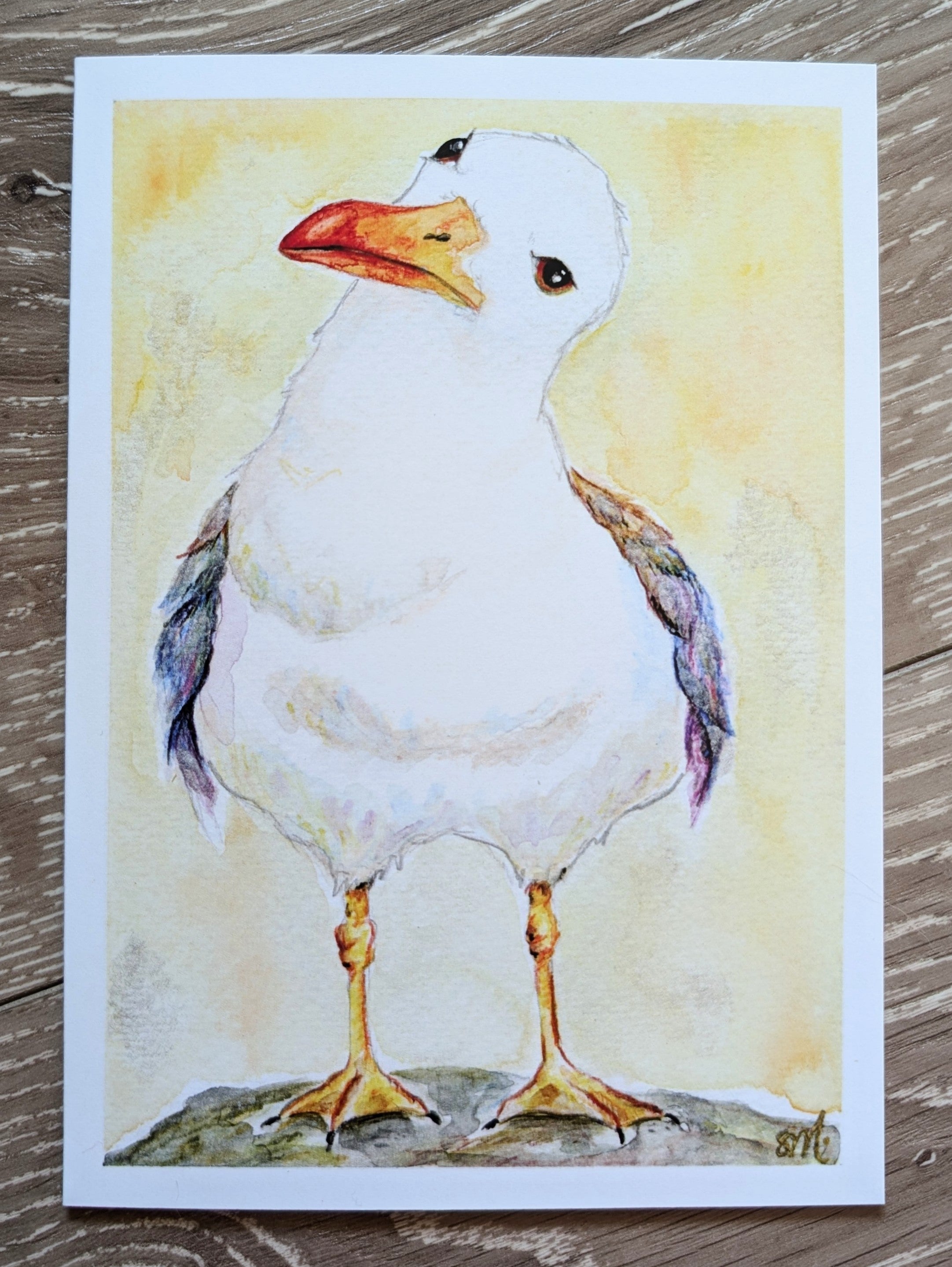 Rainbow Gull, the Judgemental One