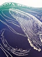 Humpback Whale
