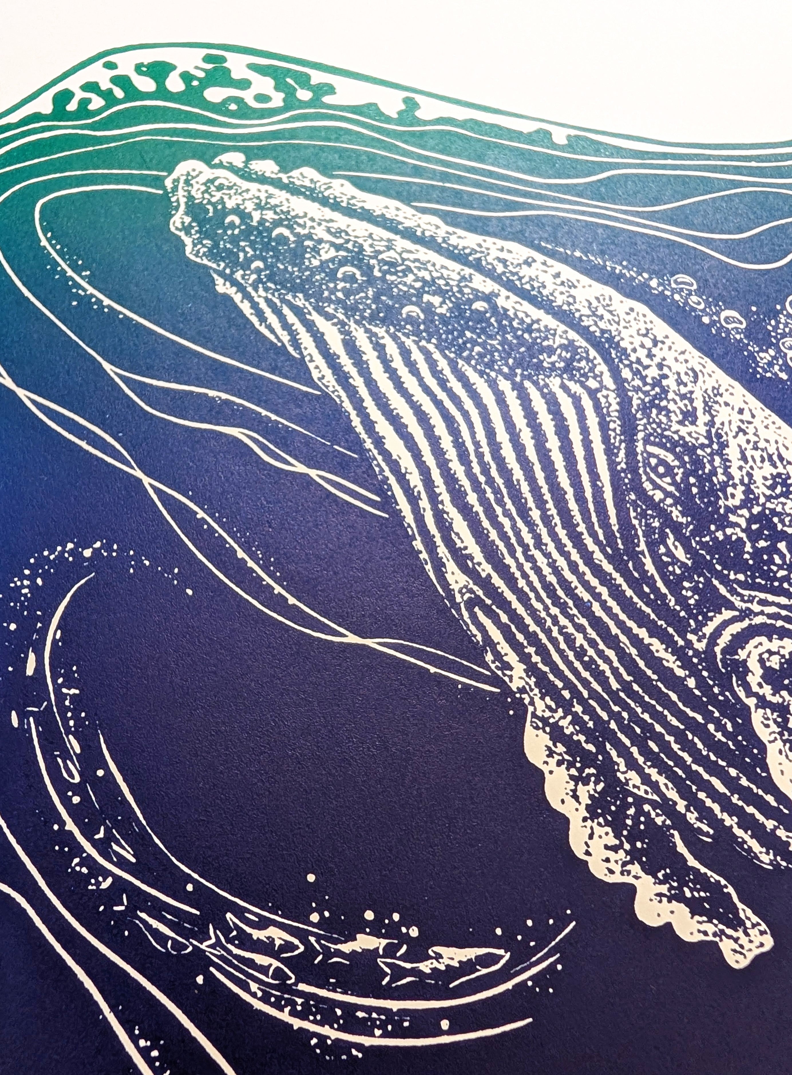 Humpback Whale