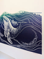 Humpback Whale