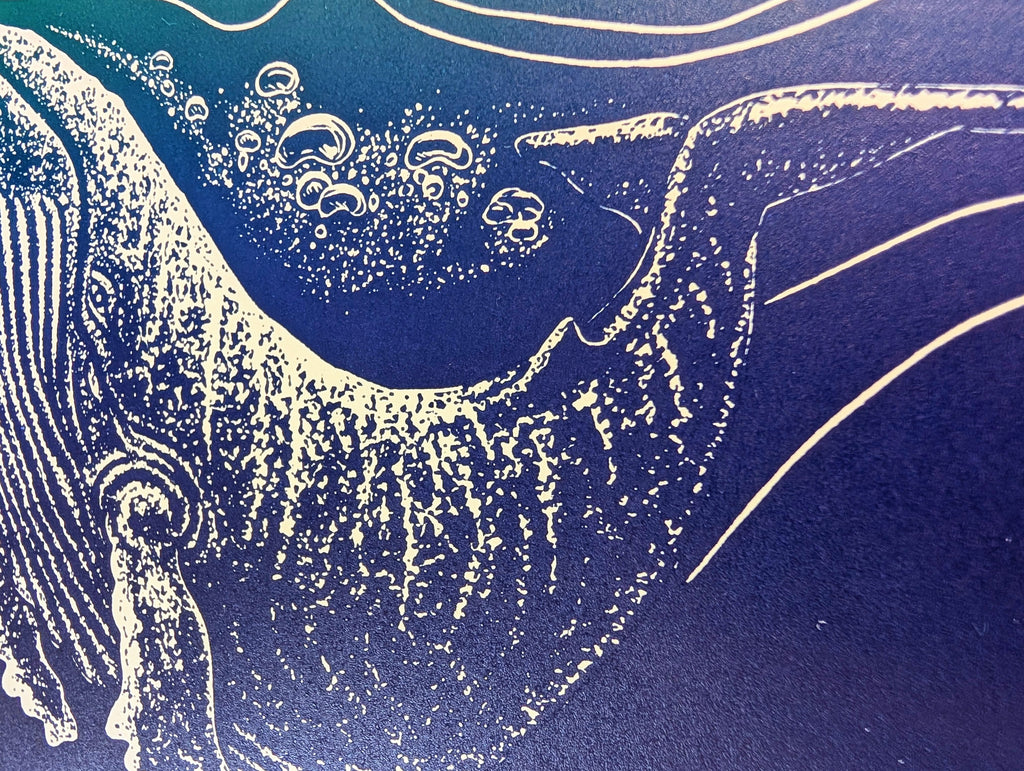Humpback Whale