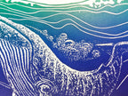 Humpback Whale