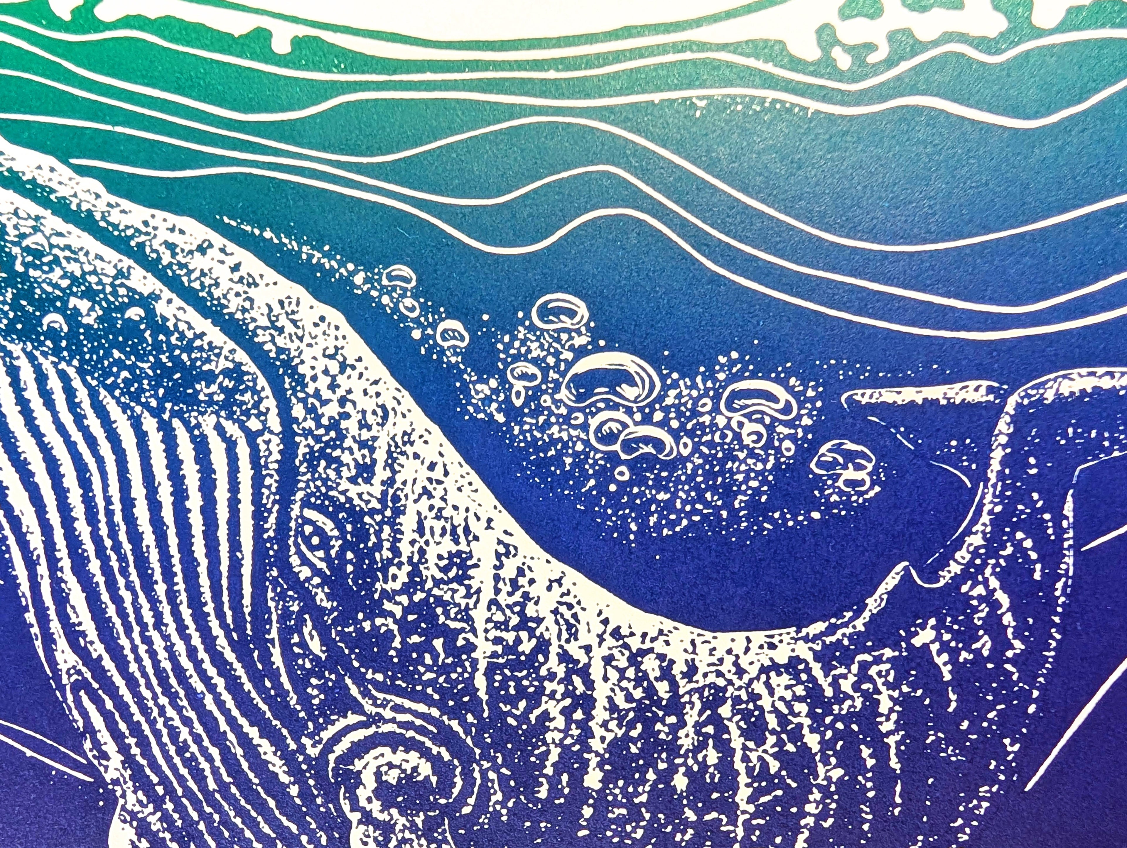 Humpback Whale