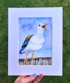 Rainbow Gull, The Loud One