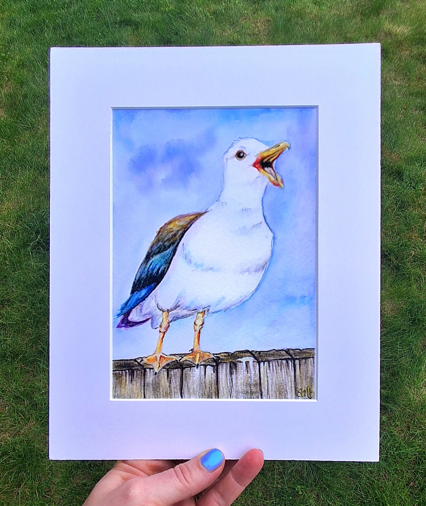 Rainbow Gull, The Loud One