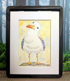 Rainbow Gull, The Judgemental One