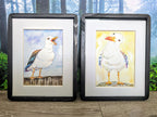 Rainbow Gull, The Judgemental One