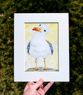 Rainbow Gull, The Judgemental One