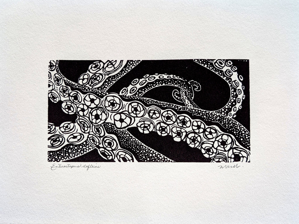 Enteroctopus dofleini