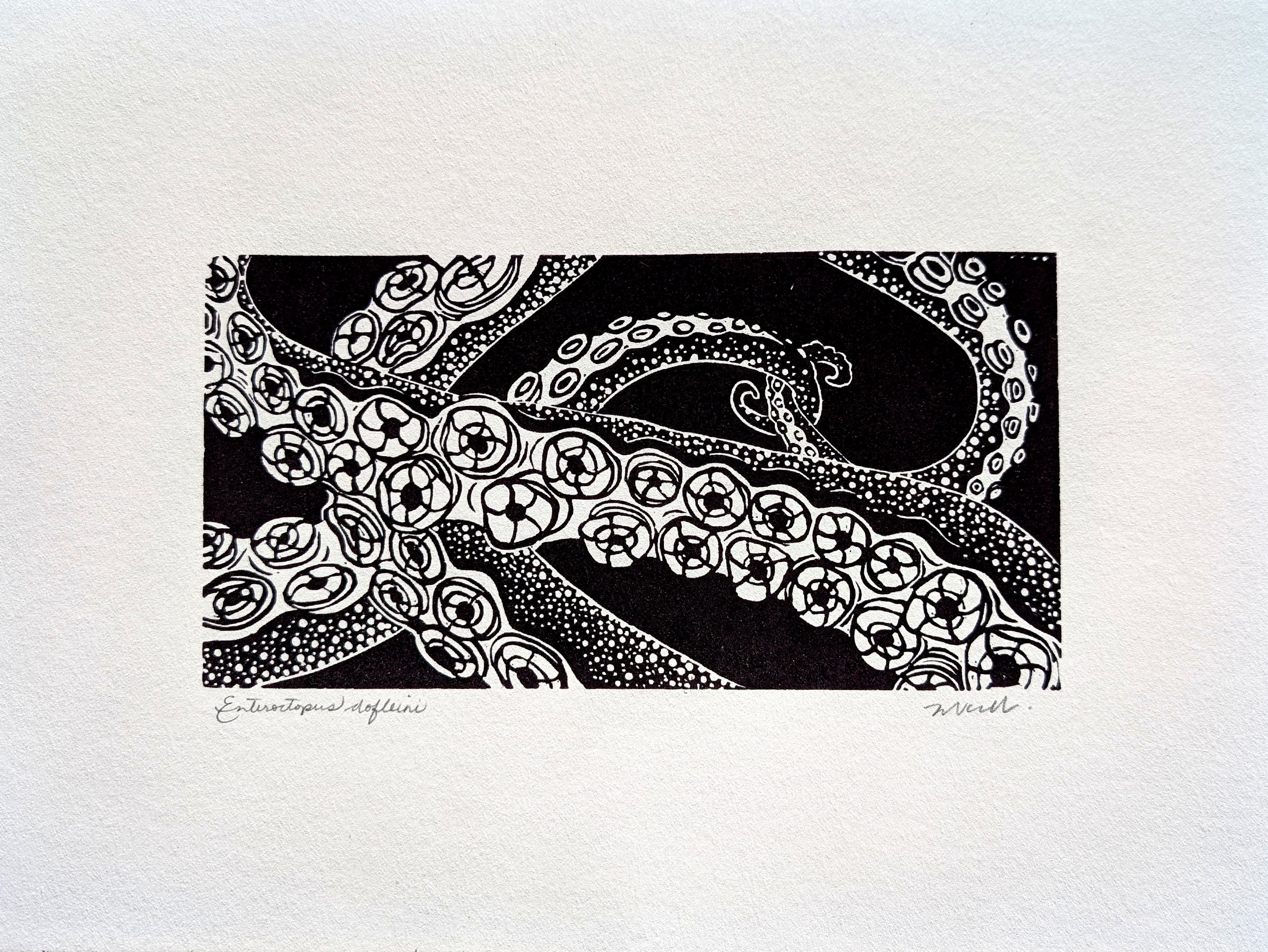 Enteroctopus dofleini
