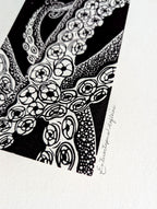 Enteroctopus dofleini