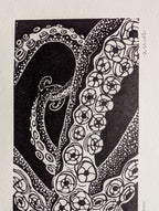 Enteroctopus dofleini