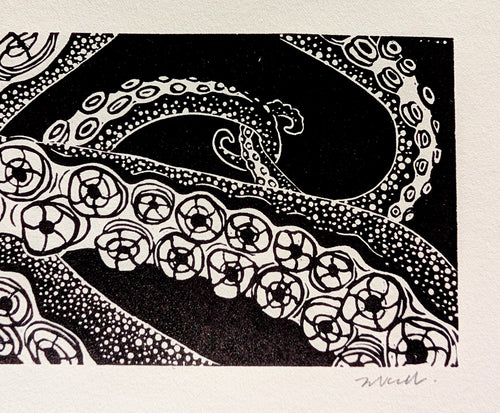 Enteroctopus dofleini