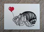 Hermit Crab Love