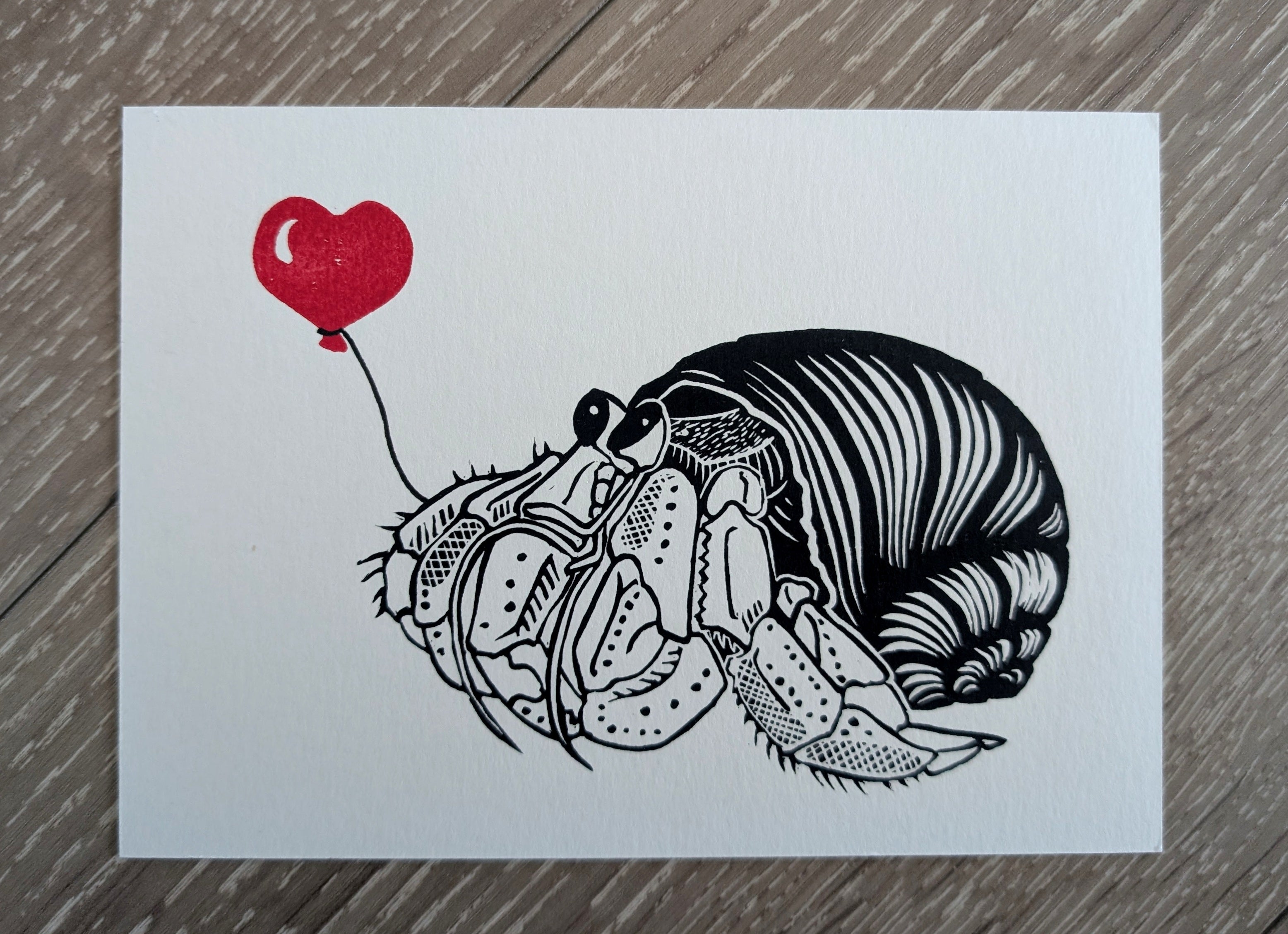 Hermit Crab Love